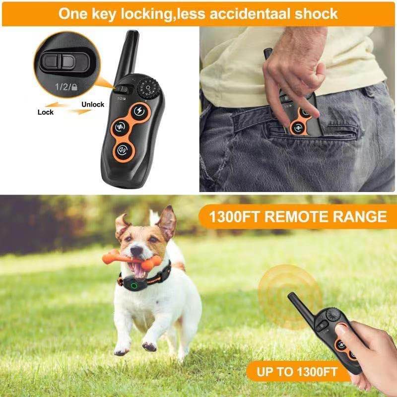 Dog Training Collar with Remote