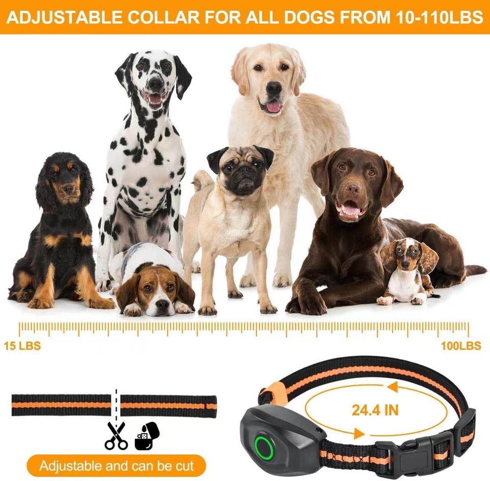 Dog Training Collar with Remote